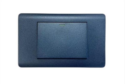 일반 국제 스위치